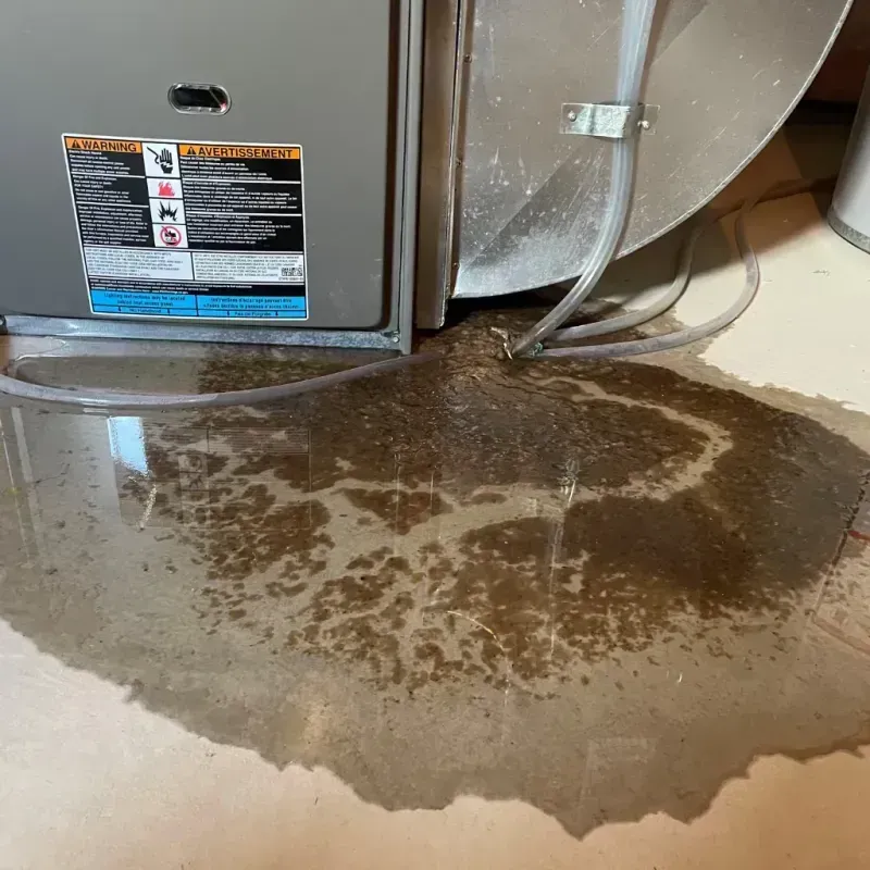 Appliance Leak Cleanup in Woods Creek, WA